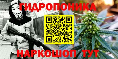 прущие грибы Чебаркуль