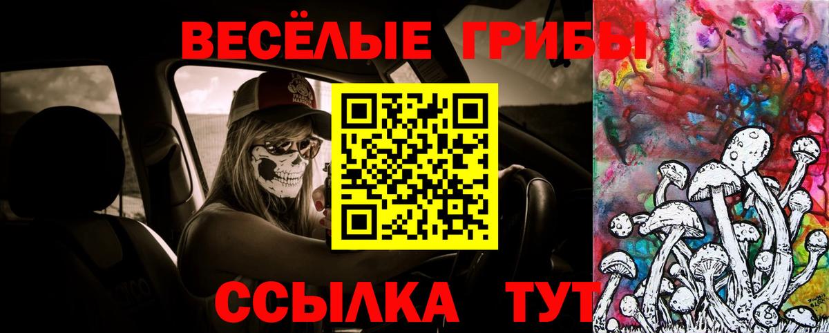 Псилоцибиновые грибы GOLDEN TEACHER Барнаул